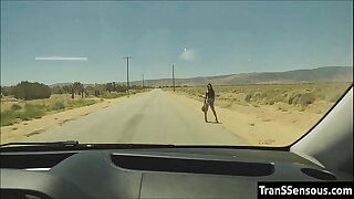 Transsexual hitchhiker fucked here be imparted to murder ass